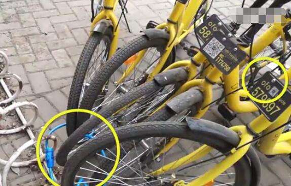 郑州高校门前5辆小黄车被上私锁 女生借来卡钳