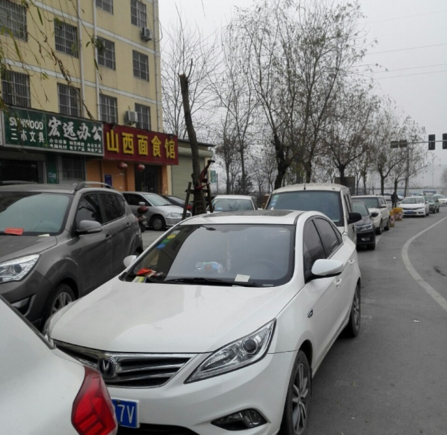 明明停在划线车位中被贴条 郑州多条路中招