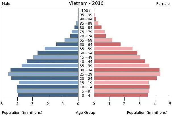 中国人口金字塔2016_民工荒根源在于人口结构变化 少年人口萎缩严重