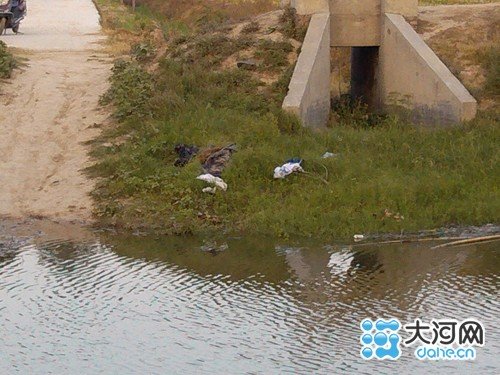 延津两名小学生村头河中洗澡溺水身亡 仅12岁