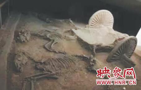 图片版权归原作者所有