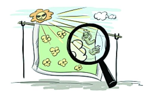 传仨月不晒被600万螨虫陪你睡 专家：要勤晒被