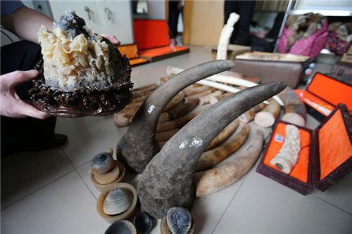 涉案超200万！中原地区最大野生动物制品案6人获刑