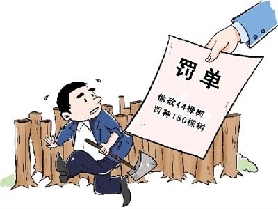 人口生态失衡会破坏_环境破坏图片