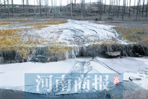 15位局长下河游泳图片