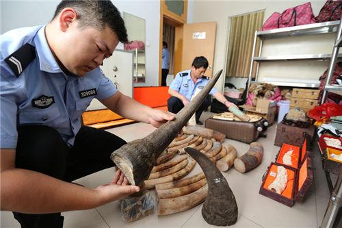 涉案超200万！中原地区最大野生动物制品案6人获刑