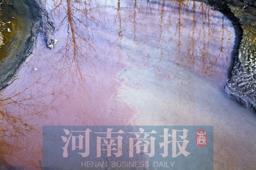 15位局长下河游泳图片