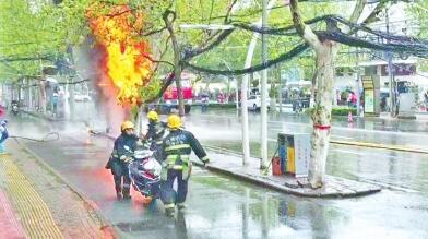 郑州一处电缆雨天着火 烧秃两棵行道树