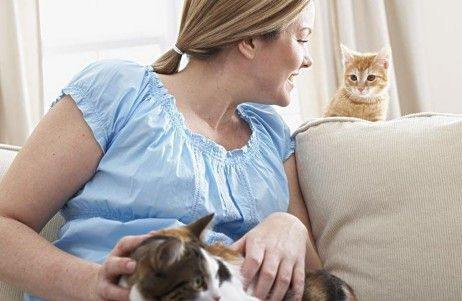 女人养猫易过敏感 易导致自杀性格