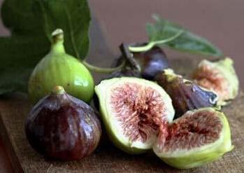113518491.jpg