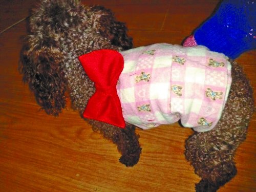 世界勤俭日妙招多 “黄金点菜法”保您节约够吃