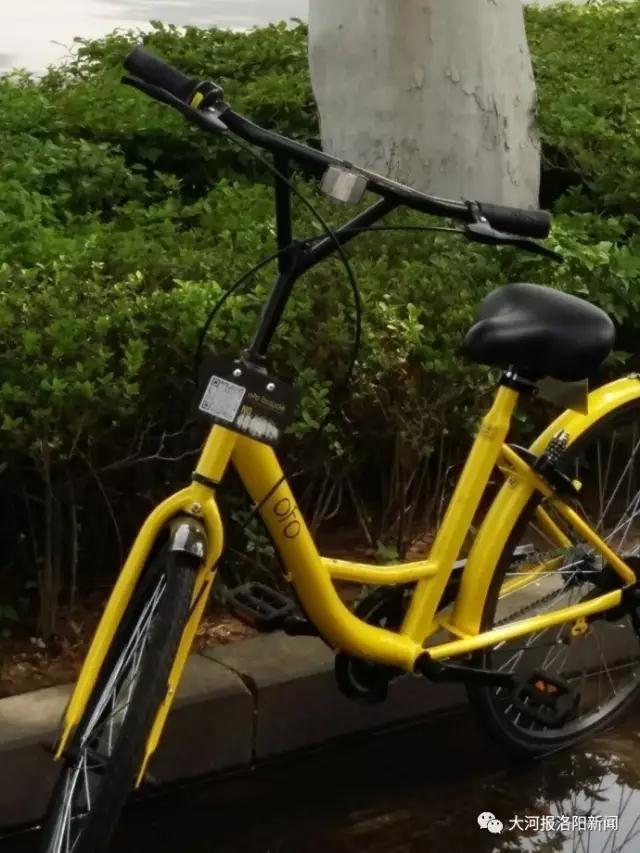 洛阳一男子锯断共享单车车锁 被行政拘留15天