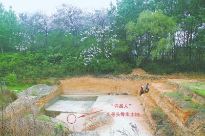 “许昌人”2号头骨化石出土 或是古人食脑证据