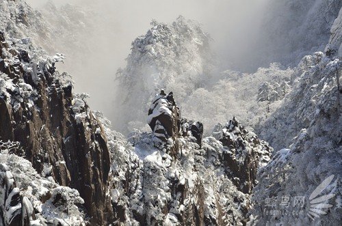 也可以坐飞机到黄山屯溪机场