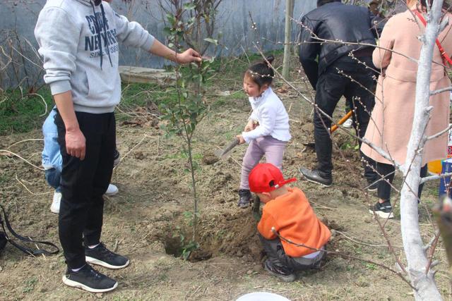 小朋友植树 用一棵幼苗,两瓢清水,三铲泥土,四分清风,五缕阳光,六两