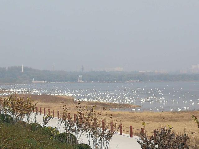 三门峡市天鹅湖旅游度假区收费听证会