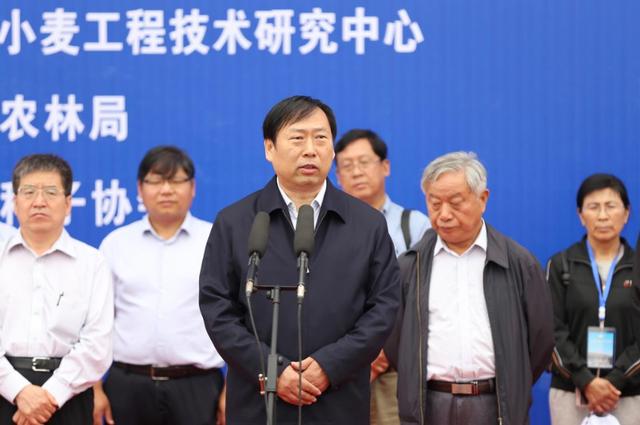 温县召开首届小麦种子产业博览会