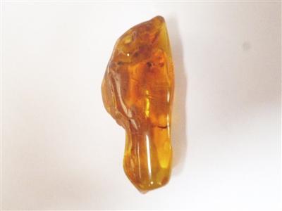 小小虫珀别有讲究收藏价值高