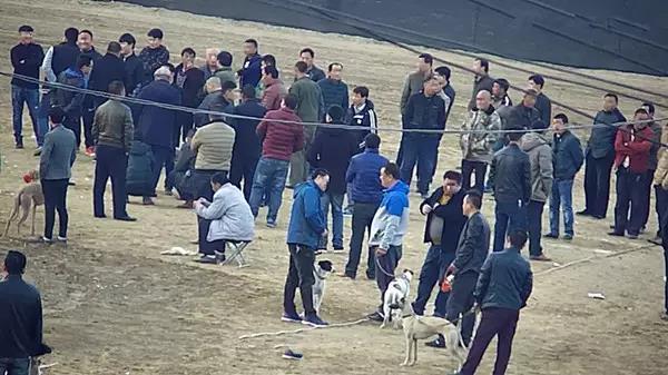 汤阴县人口有多少_汤阴县地图