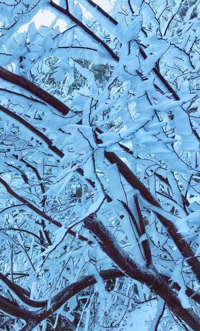 陈淋子GDP_中国gdp增长图(3)