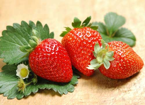 贝嫂水果减肥只爱草莓