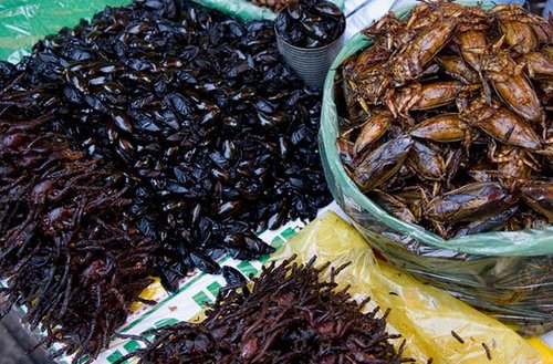 柬埔寨金边 能吃到油炸昆虫的平民帝都