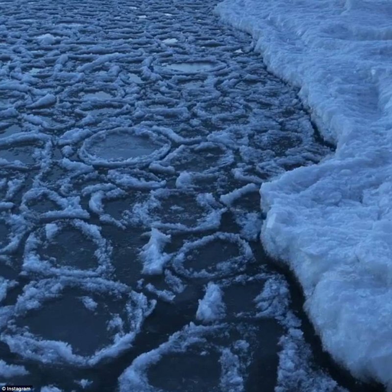 美国密歇根湖寒流过后湖面形成大片饼状冰