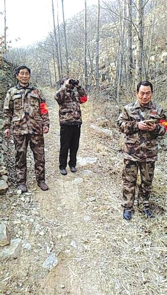 怎么才能当上一名职业护林员 147266502.jpg