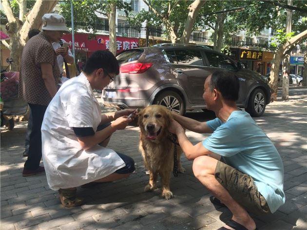 郑州中原区首开先例:登记办狗证每只狗免费体