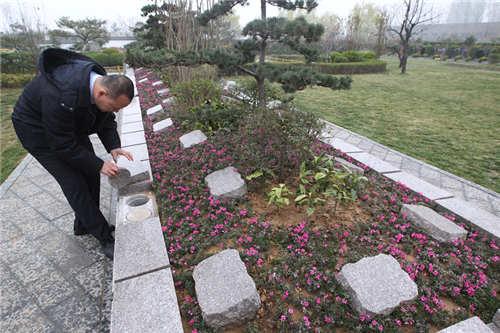 明年起 郑州公益性树葬将设电脑"触屏缅怀"_大豫网_腾讯网