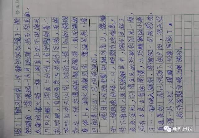 鹿邑9岁少年日读万字每天初中编织作文2017梦想福州质检化学图片