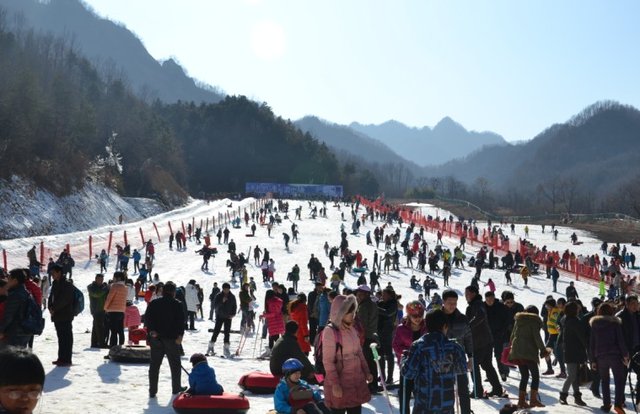 木札岭1元滑雪启幕引爆河南旅游市场 