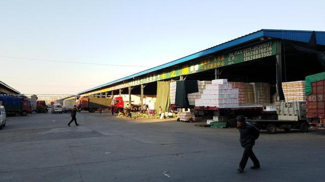 【新春走基层】探秘河南最大的农产品批发市场