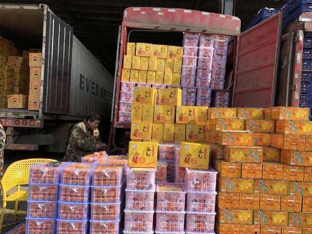 【新春走基层】探秘河南最大的农产品批发市场