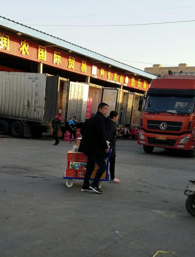 【新春走基层】探秘河南最大的农产品批发市场