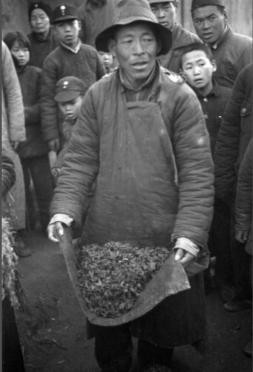 河南大饥荒 百张照片回味真实《1942》