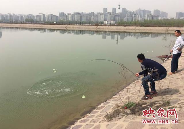 水面上漂着菜叶,有人正在钓鱼