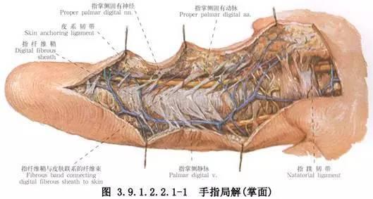 脸部疤痕修复知多少