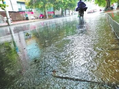 郑州街头昨天雨情