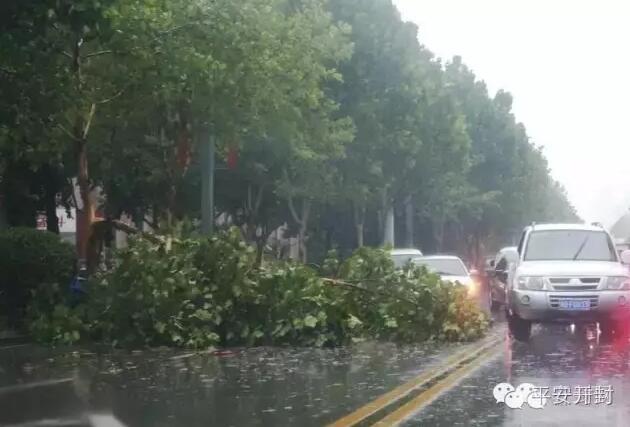 开封一女子下暴雨时跳入包公湖 民警英勇相救