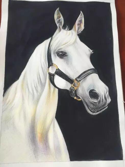 ��Ӳм�Ů���������� ��������������������ҵ