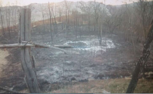 失手引燃9亩荒山 渑池一男子被行拘10天