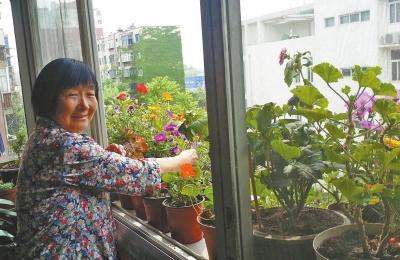 7旬老太阳台上养100盆花草 一年四季花团锦簇