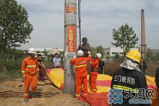 流浪汉爬上18米高压电线杆 灵宝消防用烧鸡诱