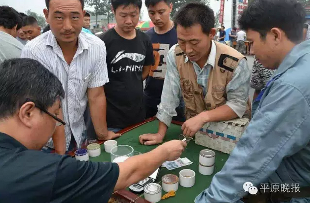 新乡延津县蟋蟀市场火爆 一只蟋蟀卖出2000元