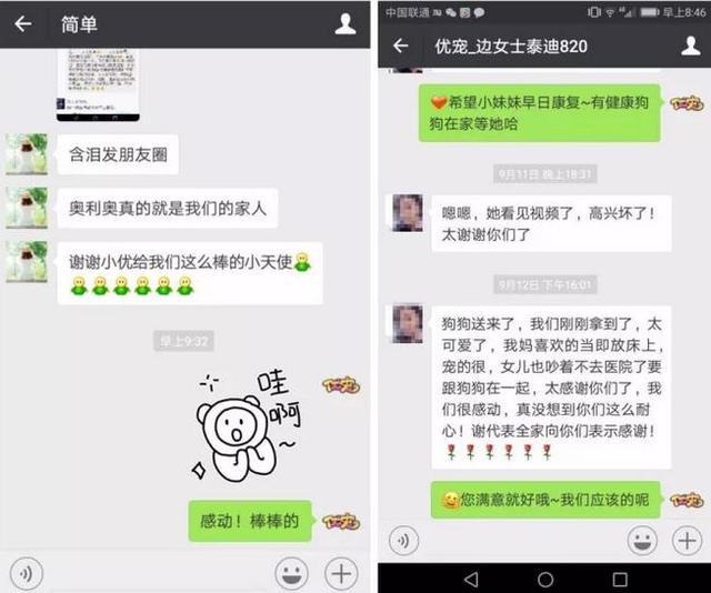 郑州妈妈打造“共享宠物”：一天10块钱，租个狗狗陪孩子