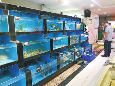 小龙虾收尾季身价暴涨近七成 货源遭遇严重断档