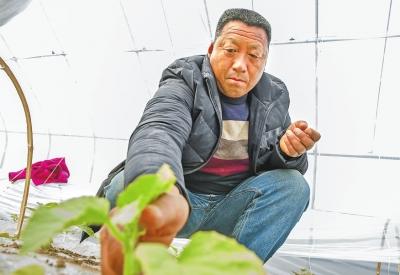姓朱总人口_姓朱的微信头像图片(3)