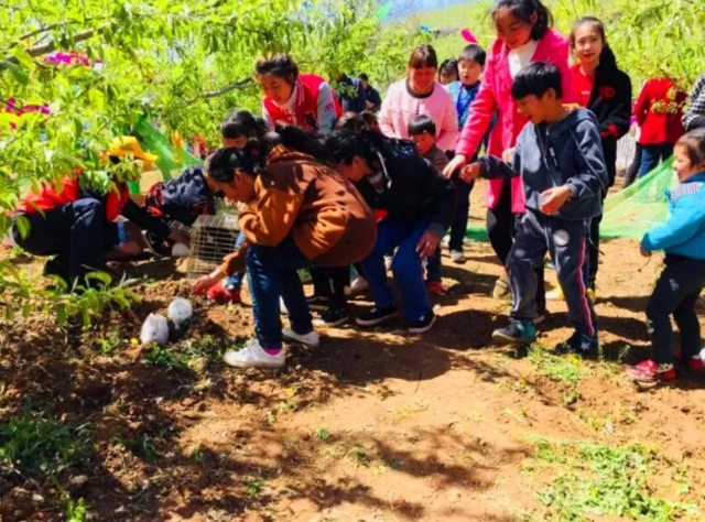 中国•灵宝首届苹果花节盛大开幕