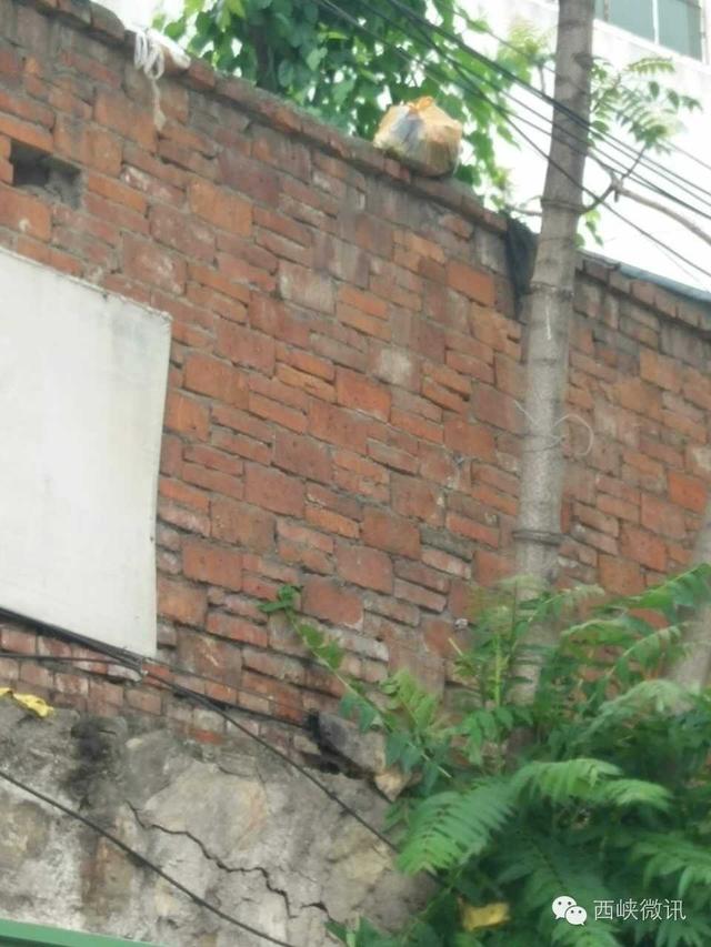 南阳环卫工街头工作 被居民楼上扔下的垃圾砸伤
